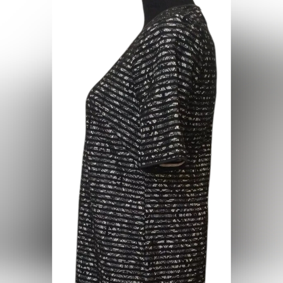 The Limited Lace Shift Dress - Picture 4 of 9